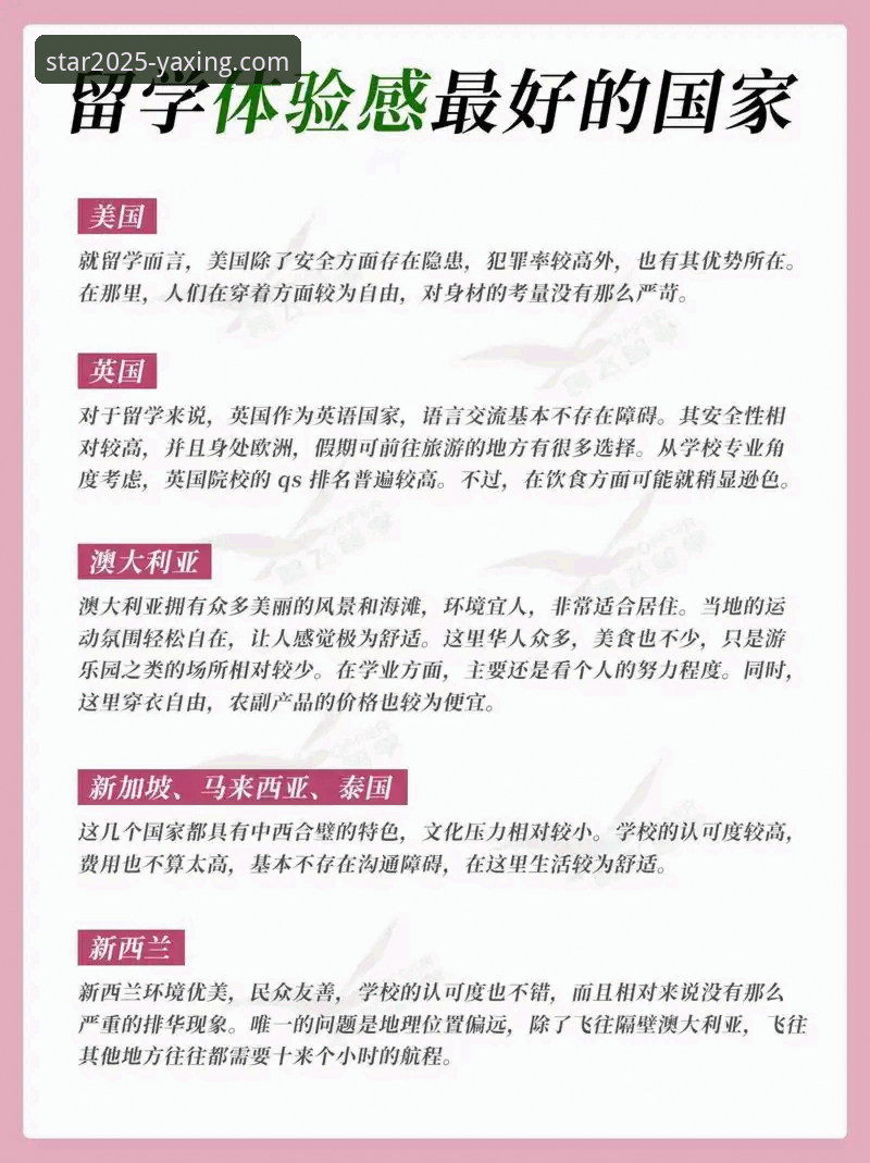 亚星官网入口 亚星官方平台2025全新版上线:资深用户深度体验与实用指南